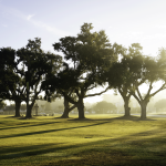 Advancement | Archbishop Shaw Boys Catholic High School 2 DSC08175 Edit